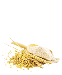 Газар тариалан